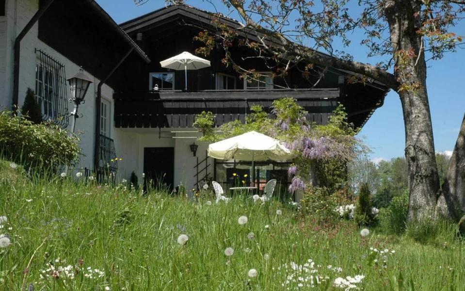 Ferienhaus Nest Blaichach Zewnętrze zdjęcie