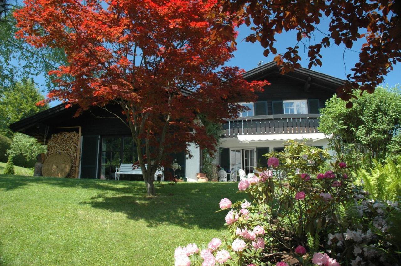 Ferienhaus Nest Blaichach Zewnętrze zdjęcie